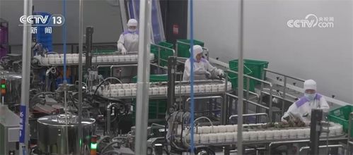 口味升級 跨界 上新 海外 出圈 舌尖上的 端午經濟 釋放消費活力